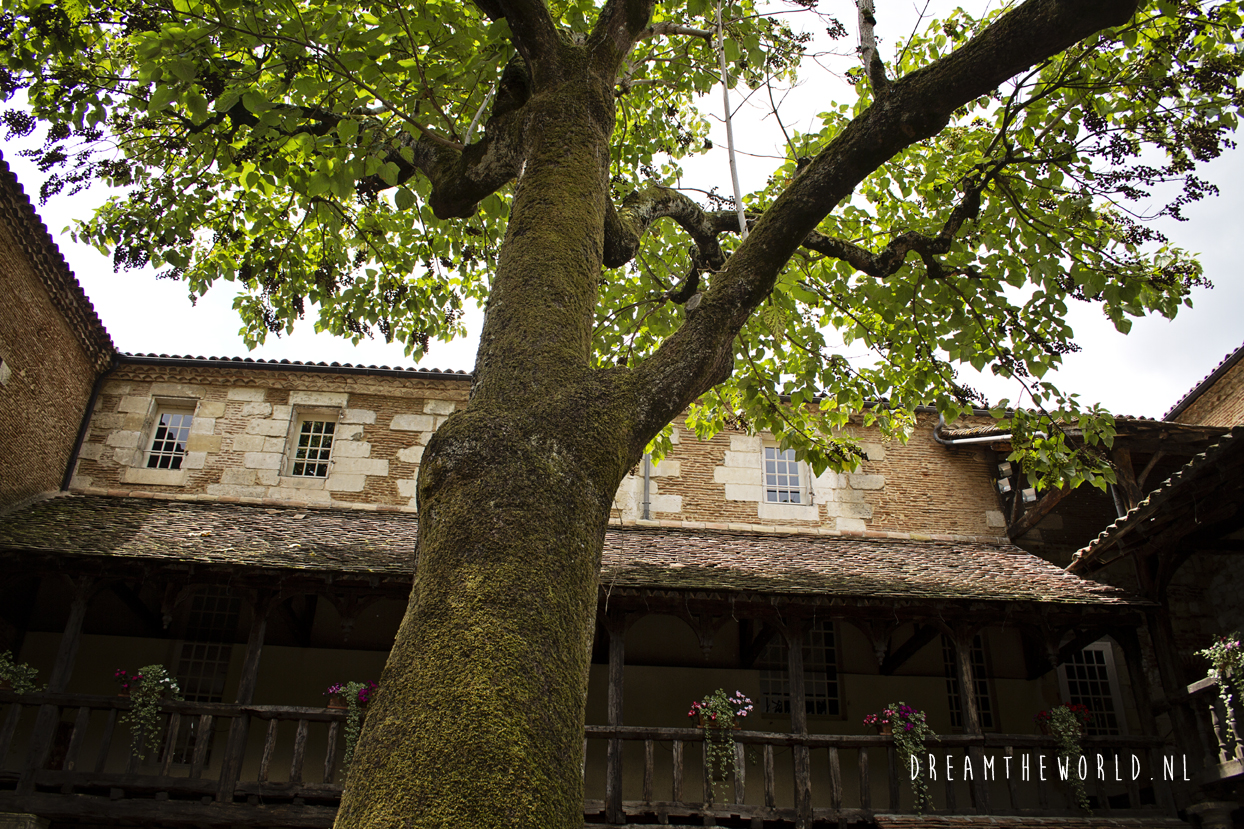 Bergerac Dordogne (2)