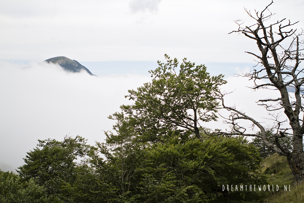 Port de Larrau en Ochagavía