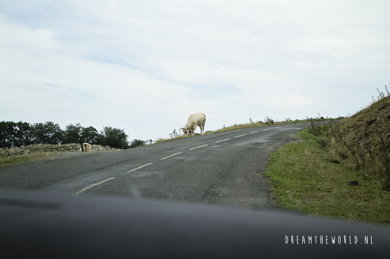 Port de Larrau en Ochagavía