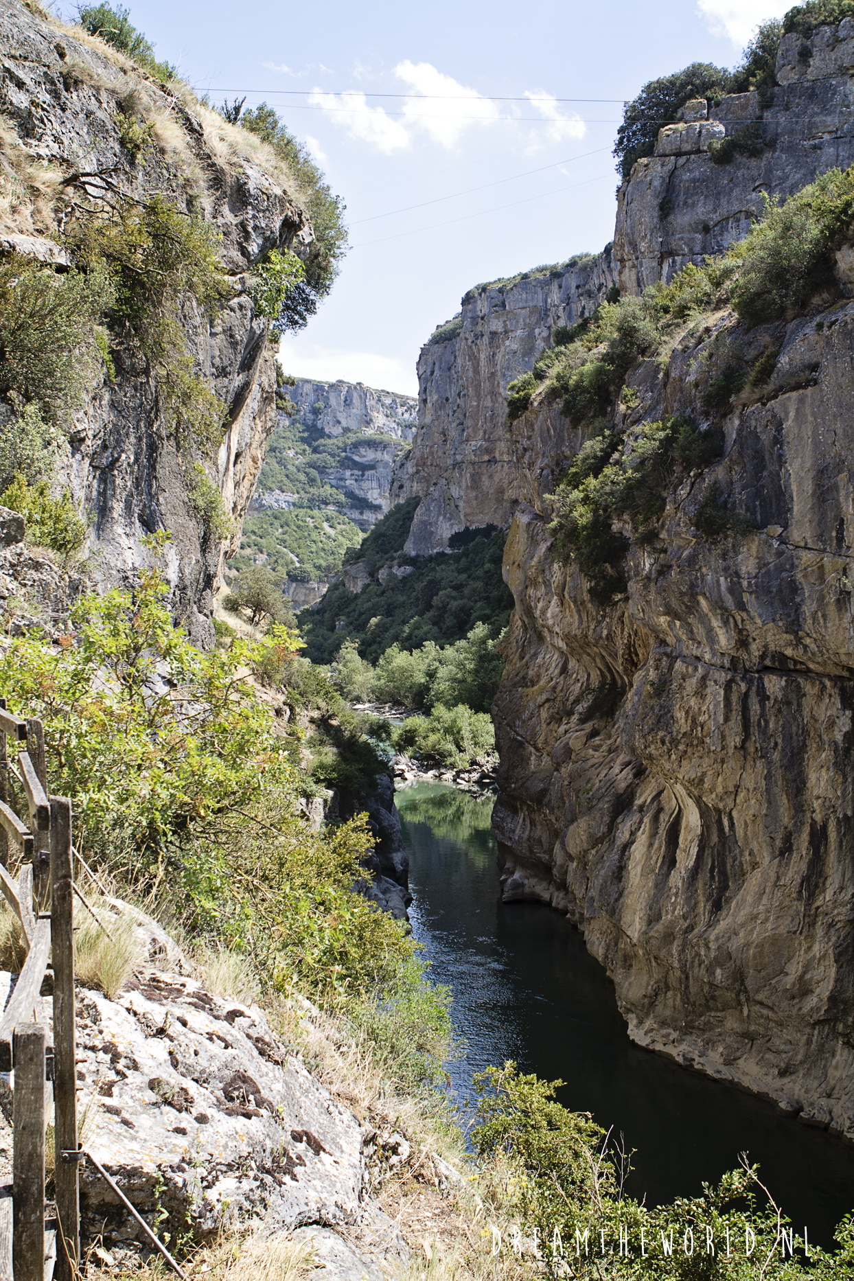 Foz de Lumbier in Spanje kloof vol gieren