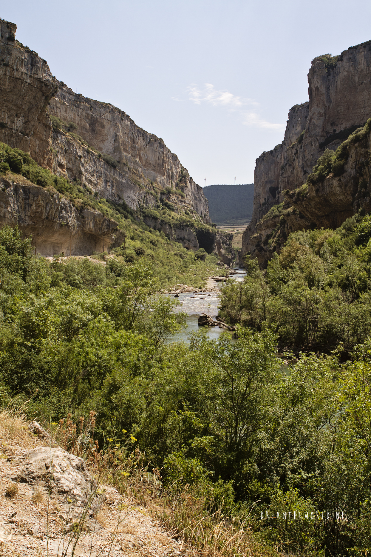 Foz de Lumbier in Spanje kloof vol gieren