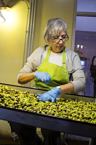 Griekenland op zoek naar het mediterrane dieet deel 2 Olijfolie
