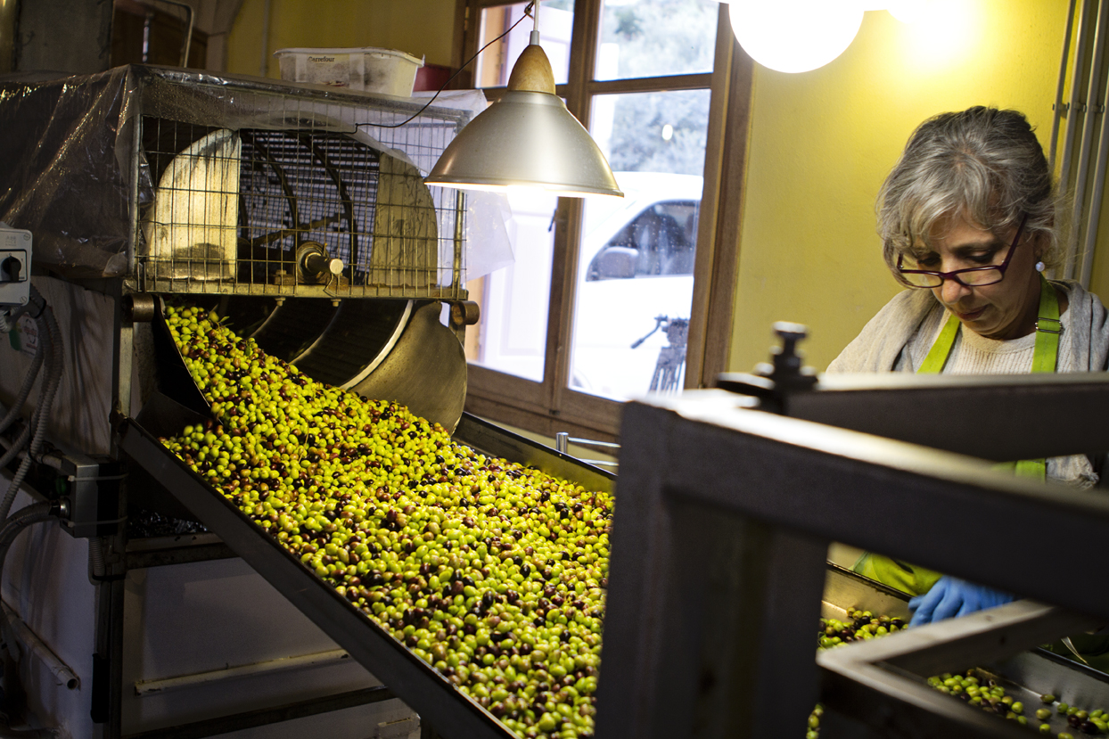 Griekenland op zoek naar het mediterrane dieet deel 2 Olijfolie