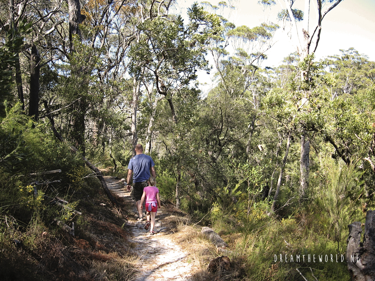North Stradbroke Island Australië