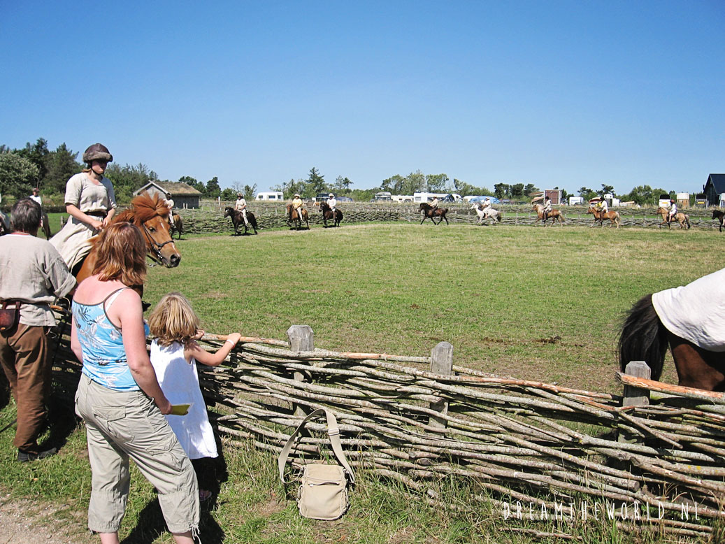 Ribe Vikingecenter Denemarken (5)