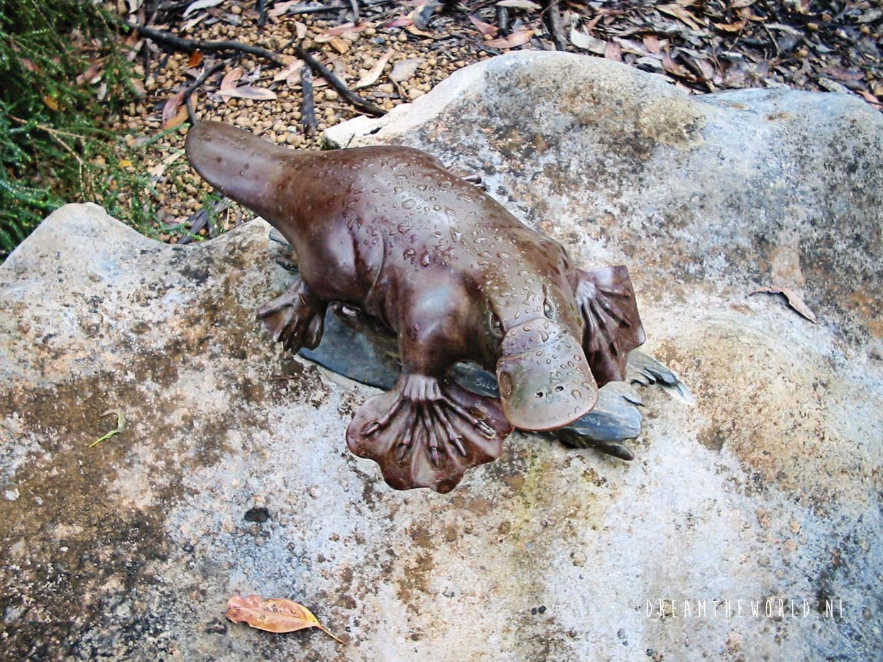 Vakantie Australie- Bangkok_3 015