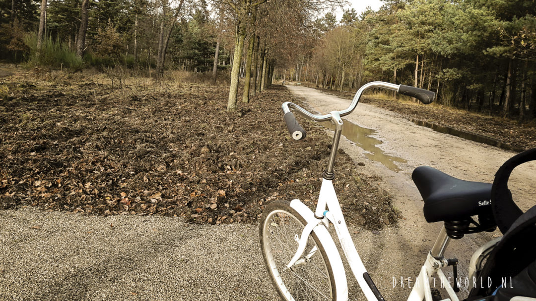 Fietsen in Nationaal Park De Hoge Veluwe