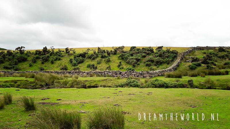 Dartmoor National Park