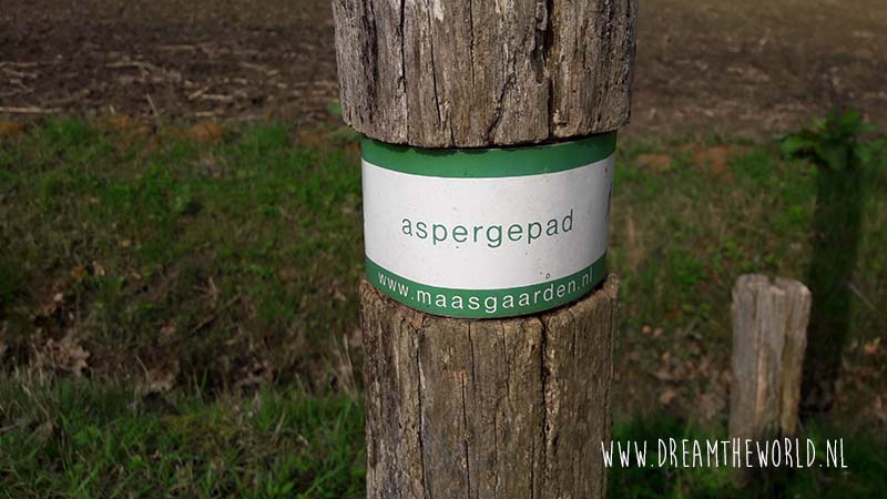 Wat je nog niet wist over asperges in Limburg