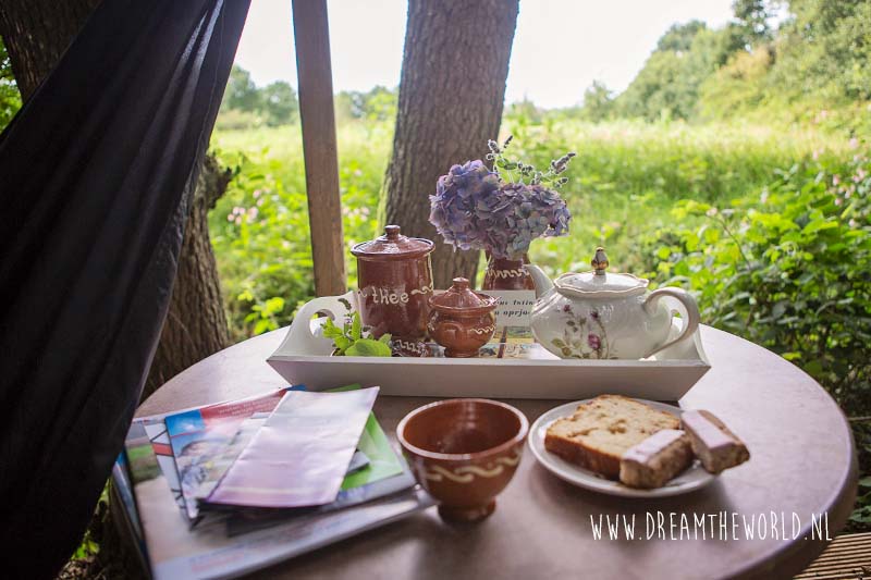 B&B Jinkepaed Friesland: heerlijk genieten in het groen 