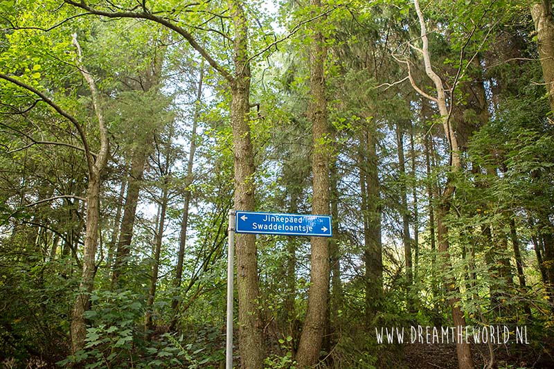 B&B Jinkepaed Friesland: heerlijk genieten in het groen 