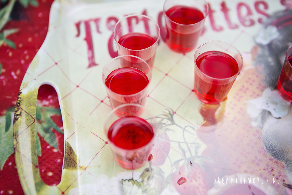 Aardbeienmuseum op fietsroute Namen naar Dinant