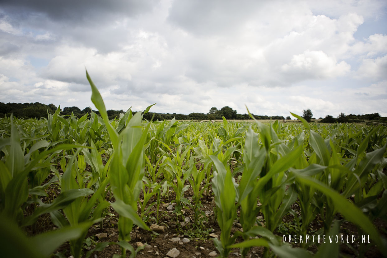 Fietsen door het platteland in Wallonië