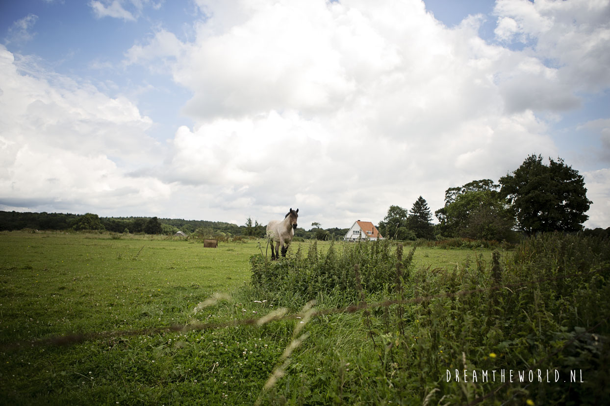 Platteland Lompret