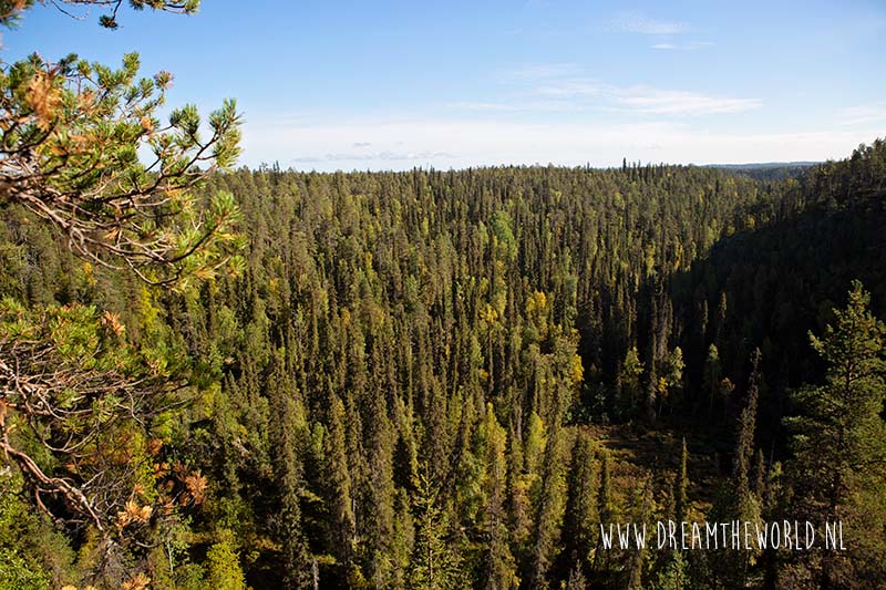 Wandelen in Oulanka National Park | Fins Lapland