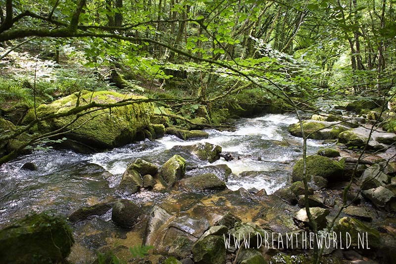 Bodmin Moor Engeland