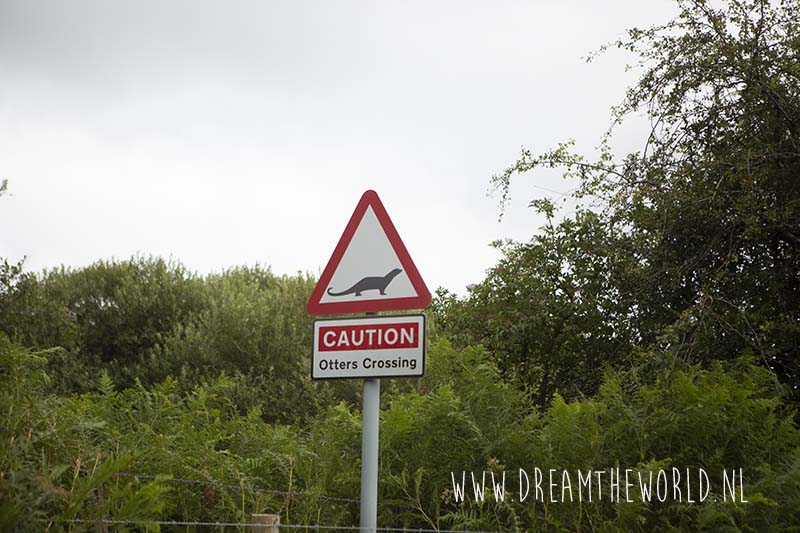 Bodmin Moor Engeland