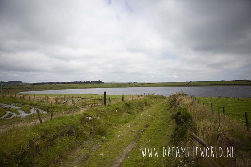 Bodmin Moor Engeland