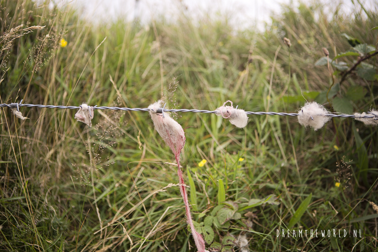 Bodmin Moor Zuid-Engeland