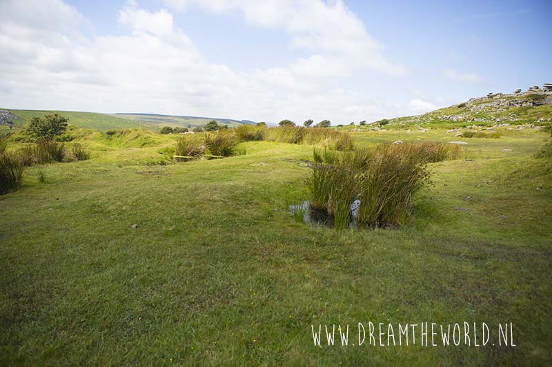 Bodmin Moor Engeland