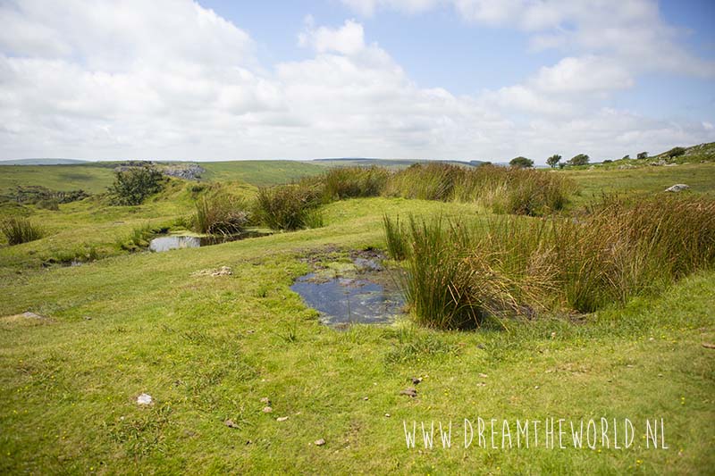 Bodmin Moor Engeland