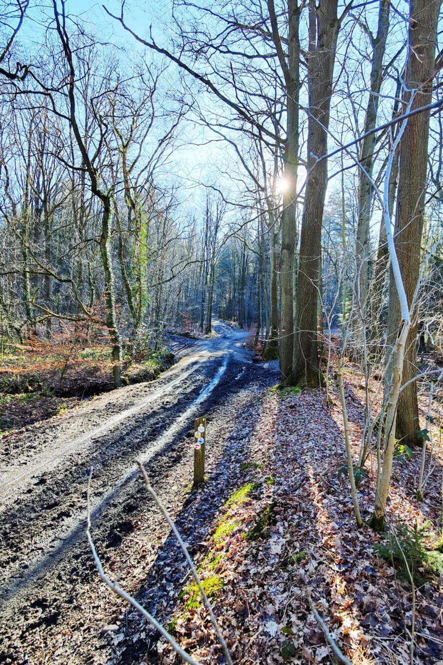 Mooiste wandelroutes Landal Mooi Zutendaal