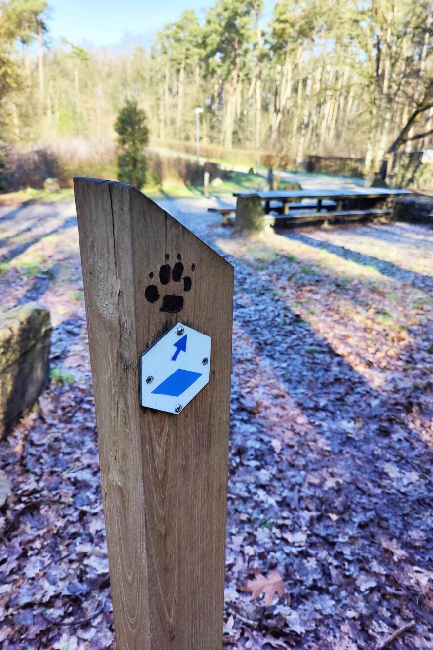 Mooiste wandelroutes Landal Mooi Zutendaal