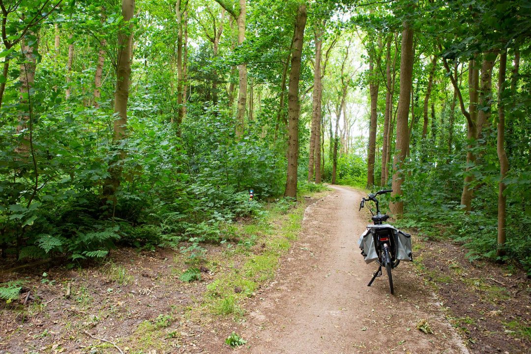 Fietsen in Nationaal Park De Hoge Veluwe