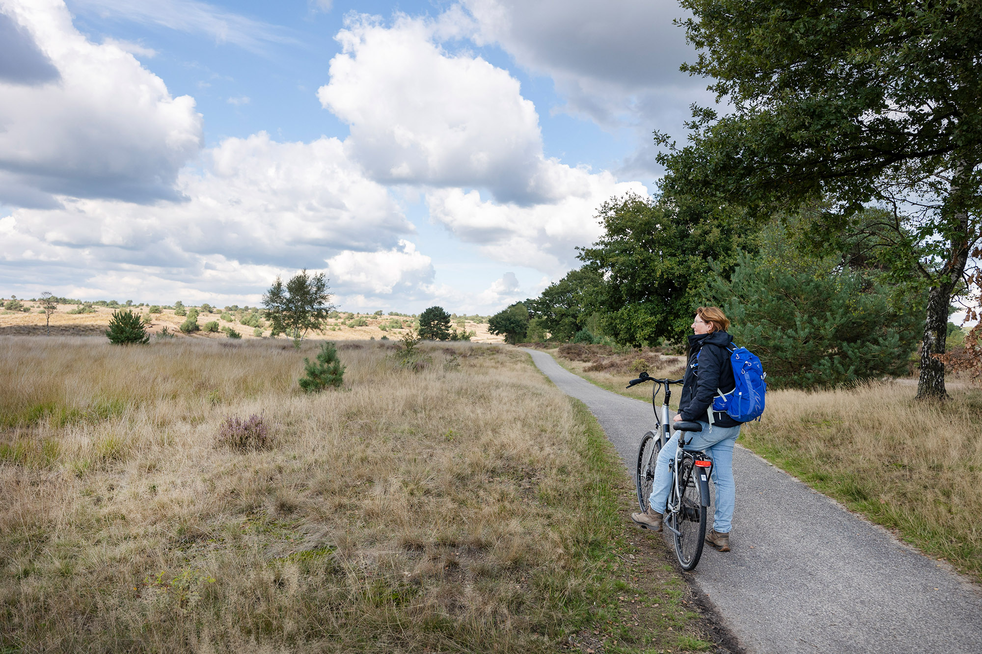 Fietsroute Gelderse kastelen