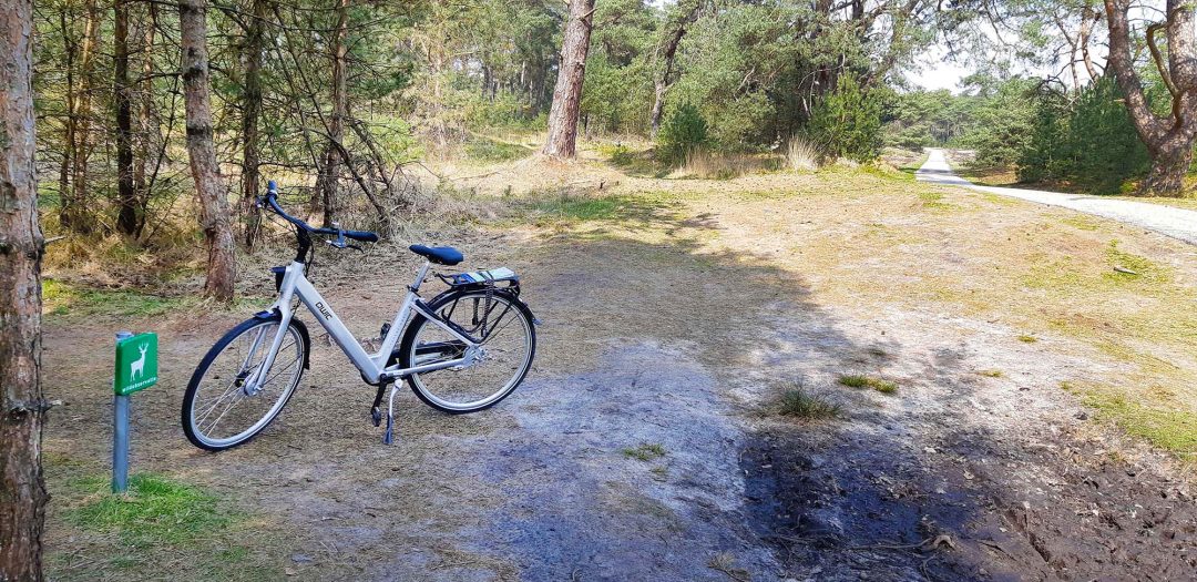 Fietsen in Nationaal Park De Hoge Veluwe