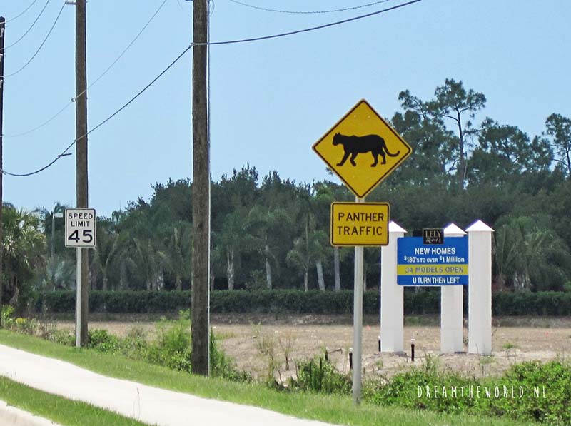 De beste route voor je roadtrip door Florida