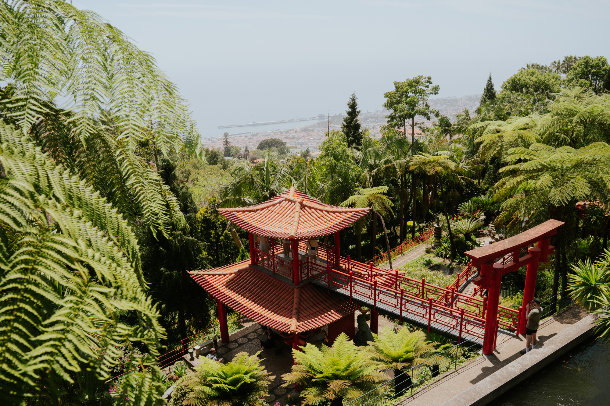 Bezienswaardigheden Madeira Funchal