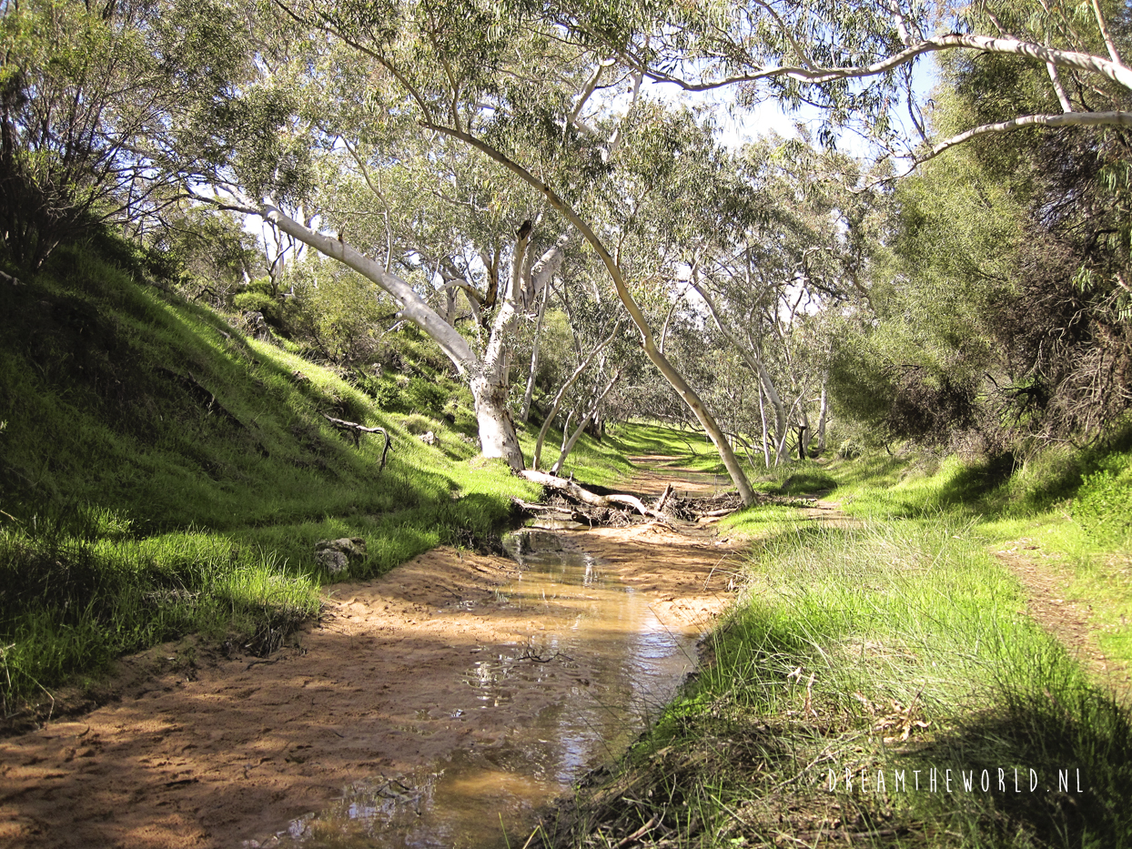 Onbekende nationale parken in West Australië: Lesueur NP en Stockyard Gully NP