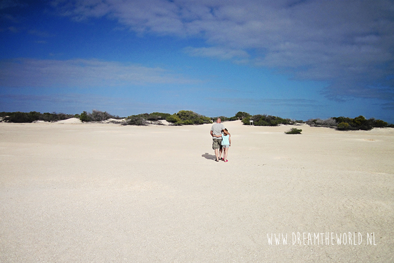 De mooiste tropische stranden in Australië