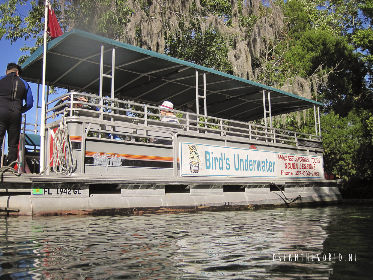 Zwemmen met zeekoeien Crystal River