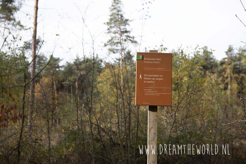 Grenspark Kalmthoutse heide | wandelroute Ree