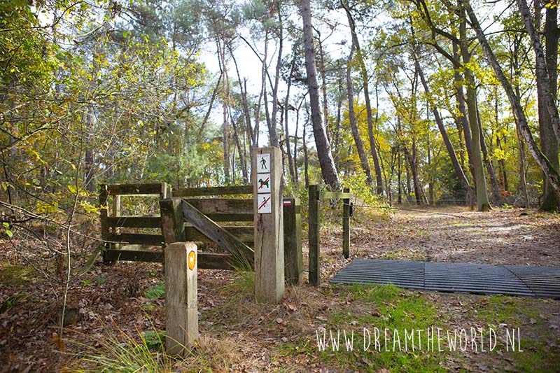 Grenspark Kalmthoutse heide | wandelroute Ree