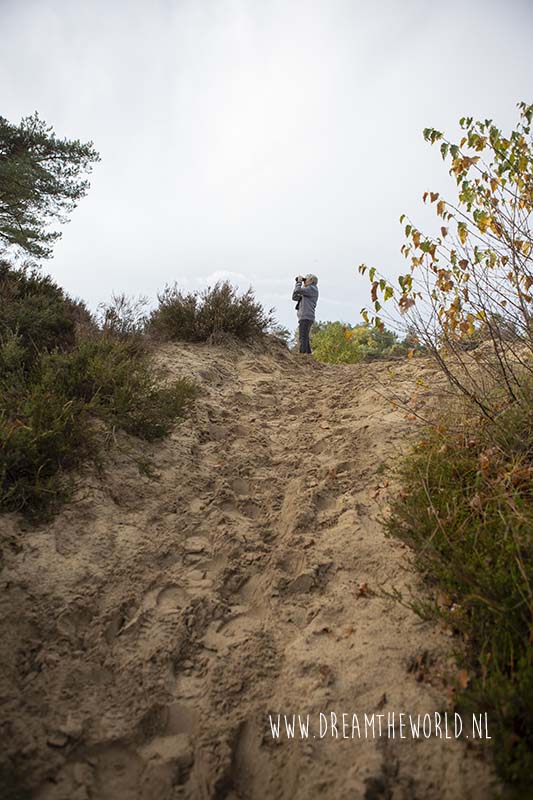 Grenspark Kalmthoutse heide | wandelroute Ree