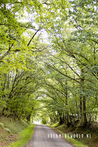 Activiteiten en bezienswaardigheden in de Dordogne