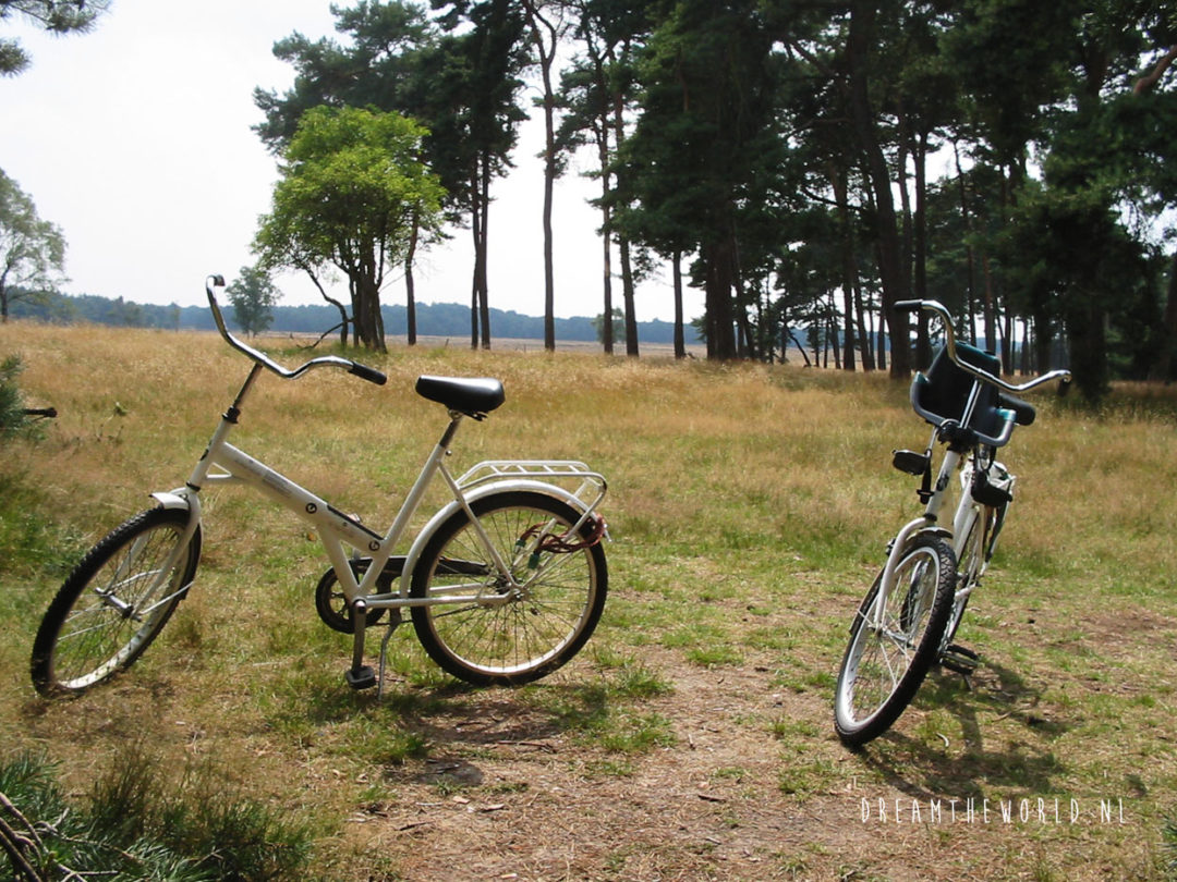 Fietsen in Nationaal Park De Hoge Veluwe