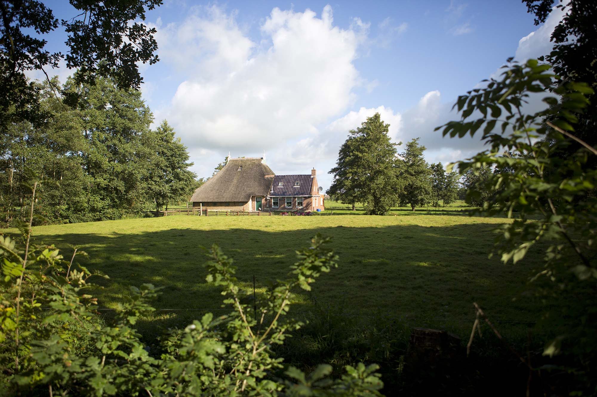 culinaire fietsroute friese wouden