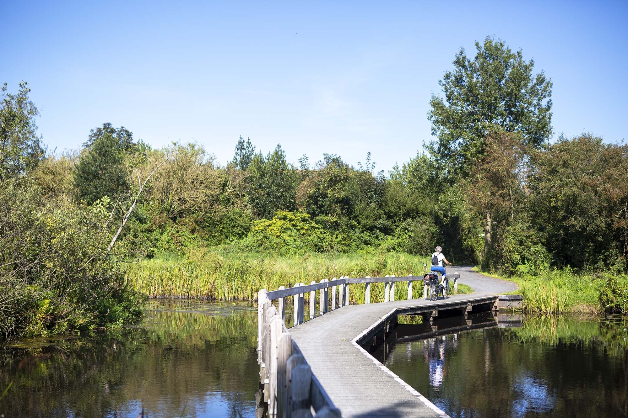 culinaire fietsroute friese wouden