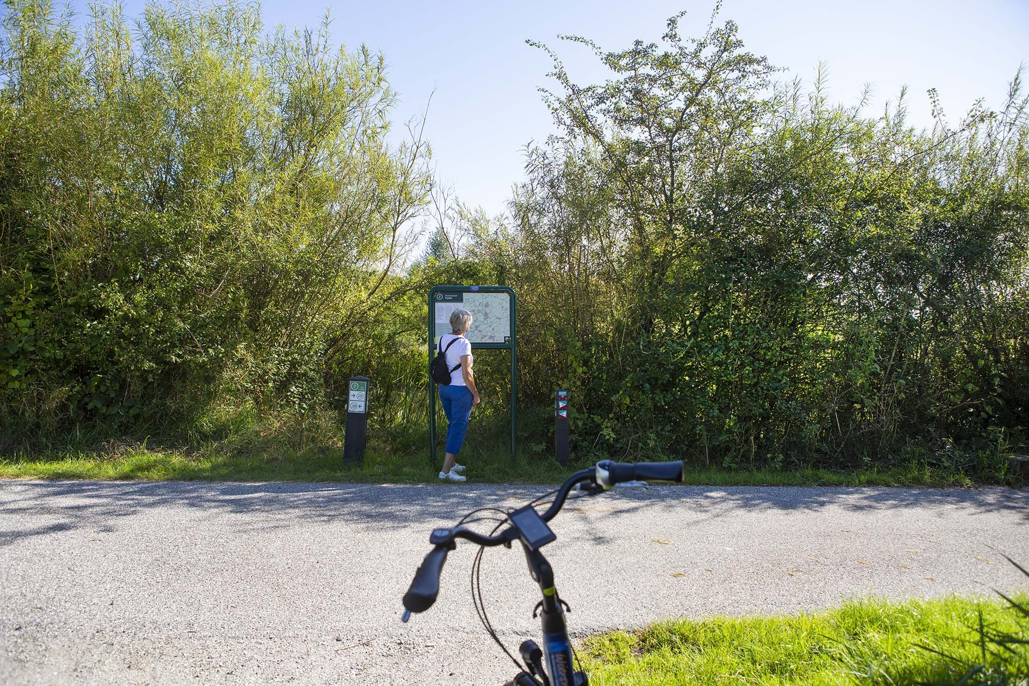 culinaire fietsroute friese wouden