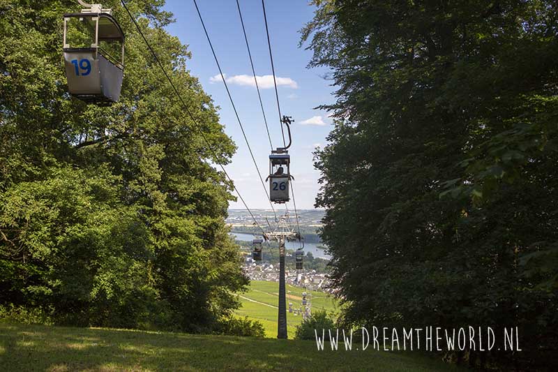 Rheinsteig | 3 dagen wandelen tussen de wijngaarden