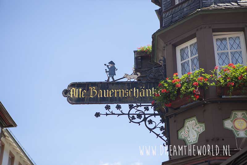 Rheinsteig | 3 dagen wandelen tussen de wijngaarden