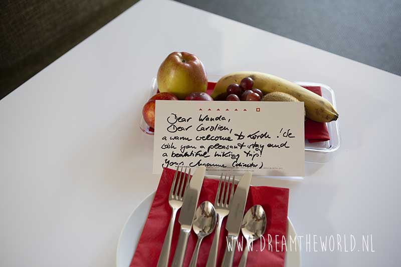 Rheinsteig | 3 dagen wandelen tussen de wijngaarden