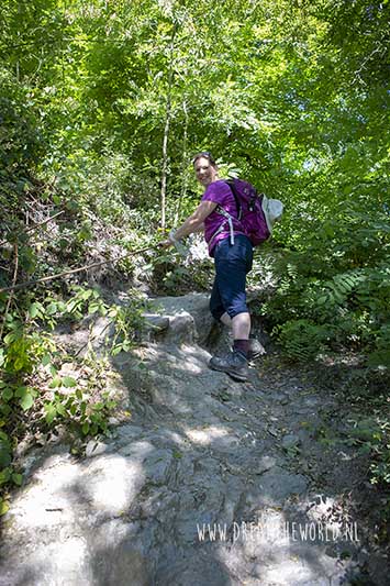 Rheinsteig | 3 dagen wandelen tussen de wijngaarden