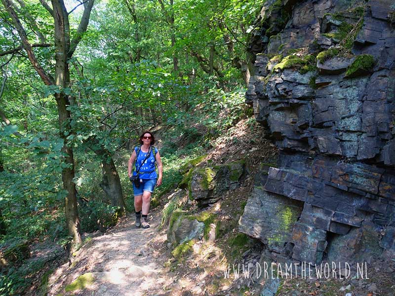 Rheinsteig | 3 dagen wandelen tussen de wijngaarden