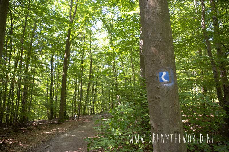 Rheinsteig | 3 dagen wandelen tussen de wijngaarden