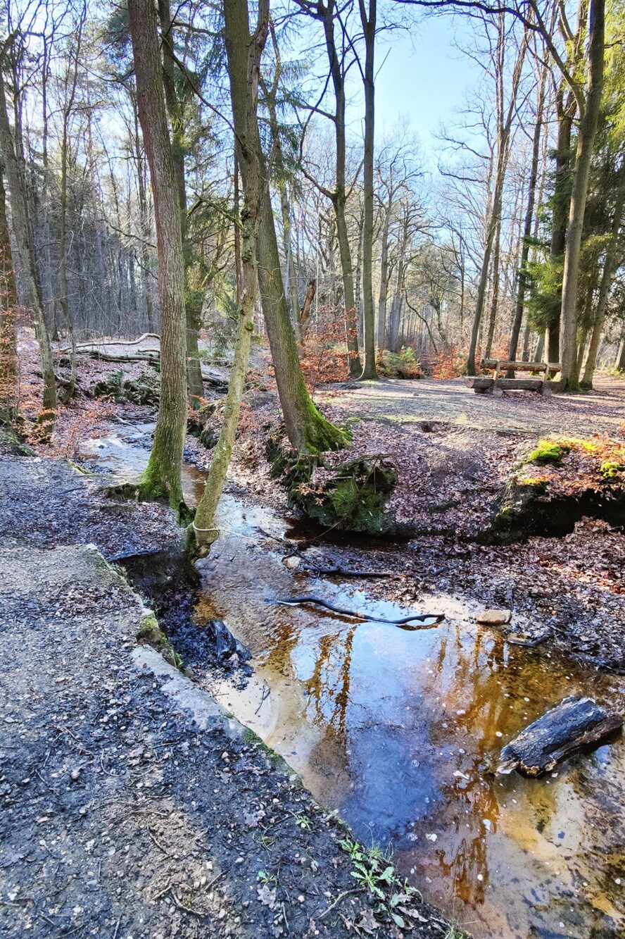 Mooiste wandelroutes Landal Mooi Zutendaal